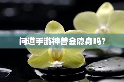 问道手游神兽会隐身吗？