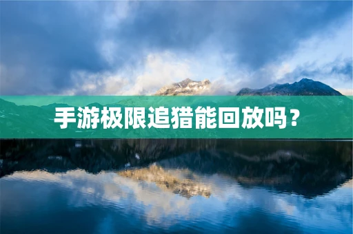 手游极限追猎能回放吗？