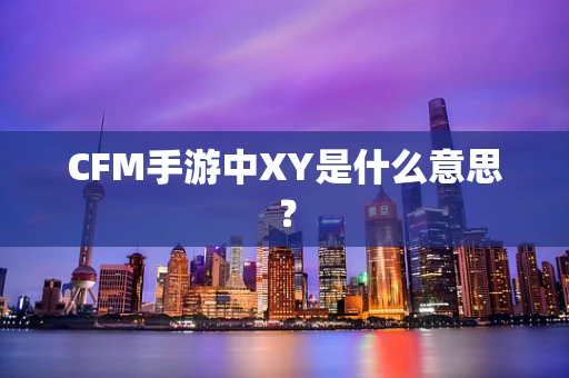 CFM手游中XY是什么意思？