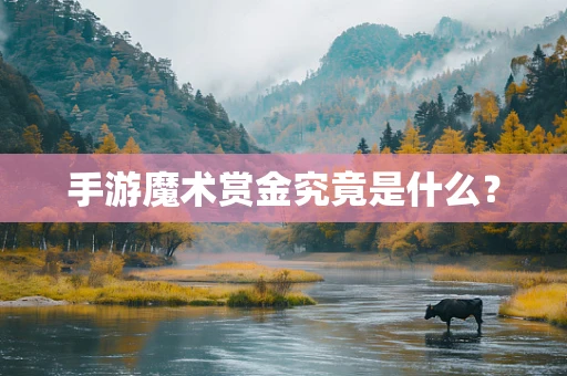 手游魔术赏金究竟是什么？