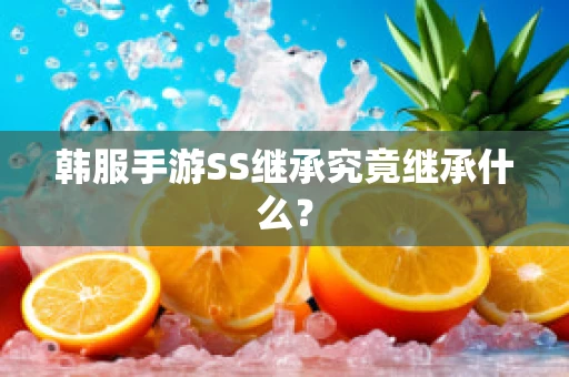韩服手游SS继承究竟继承什么？