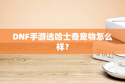 DNF手游选哈士奇宠物怎么样？