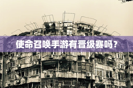 使命召唤手游有晋级赛吗？