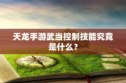 天龙手游武当控制技能究竟是什么？