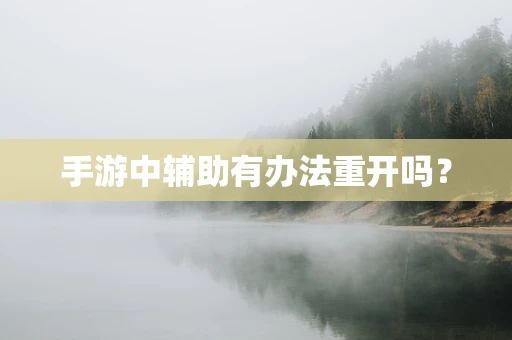 手游中辅助有办法重开吗？