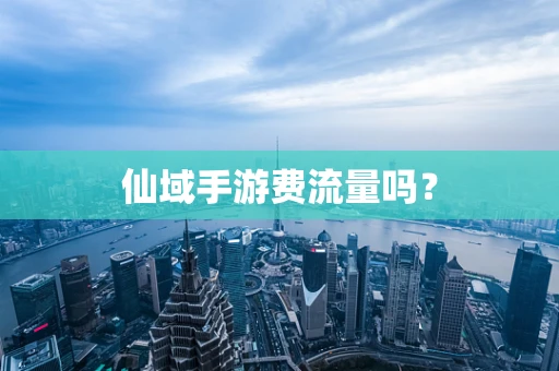 仙域手游费流量吗？