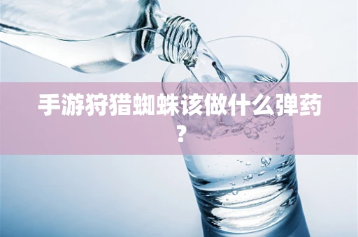 手游狩猎蜘蛛该做什么弹药？