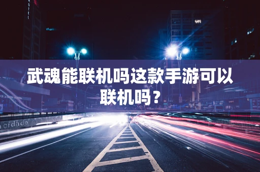 武魂能联机吗这款手游可以联机吗？