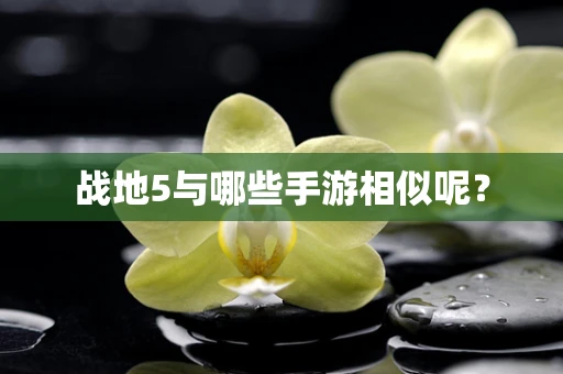 战地5与哪些手游相似呢？