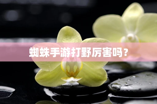 蜘蛛手游打野厉害吗？