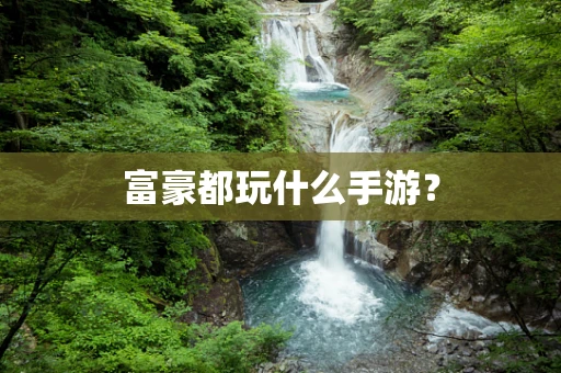 富豪都玩什么手游？