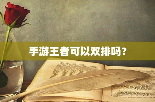 手游王者可以双排吗？