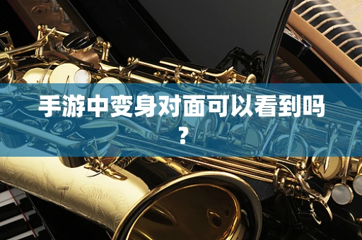 手游中变身对面可以看到吗？