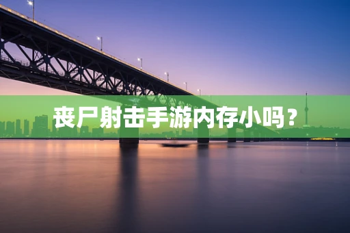 丧尸射击手游内存小吗？
